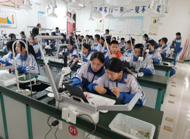 教育的应然关联实然疏离构成了当前教育改革的核心张力 教育的应然关联实然疏离构成了当前教育改革的核心张力