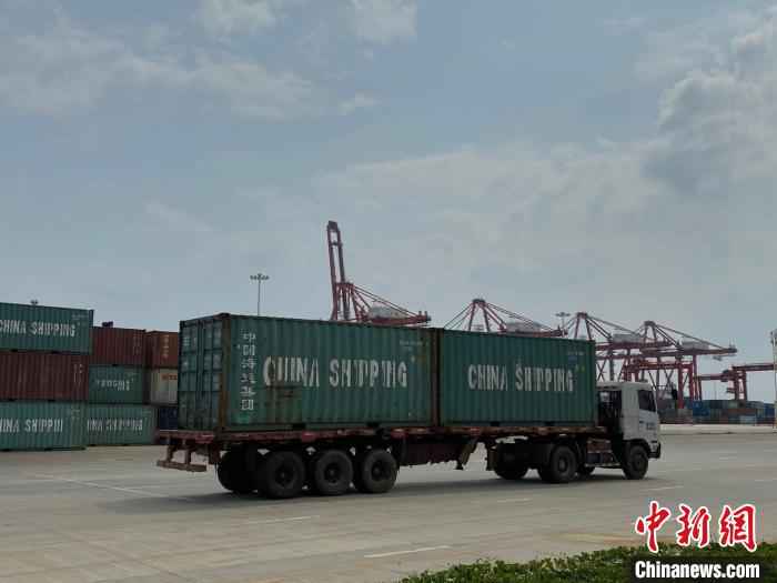 海南洋浦小铲滩码头的集装箱运输车辆 王子谦 摄 海南重点园区加快复工复产助力自贸区(港)建设